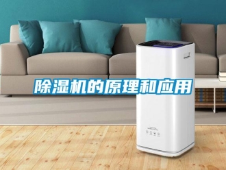 常見問題除濕機的原理和應用