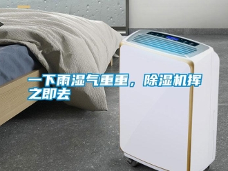 知識百科一下雨濕氣重重，除濕機揮之即去