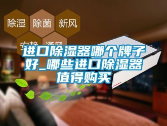 行業新聞進口除濕器哪個牌子好_哪些進口除濕器值得購買