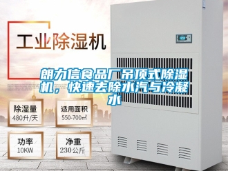 行業(yè)新聞朗力信食品廠吊頂式除濕機(jī)，快速去除水汽與冷凝水