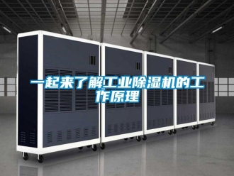 常見(jiàn)問(wèn)題一起來(lái)了解工業(yè)除濕機(jī)的工作原理