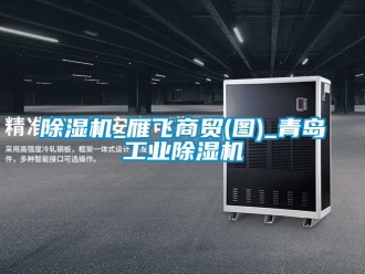 常見問題除濕機_雁飛商貿(圖)_青島工業除濕機