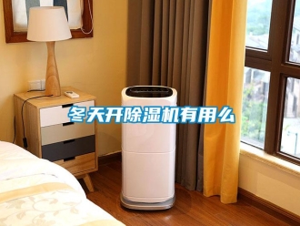 行業新聞冬天開除濕機有用么