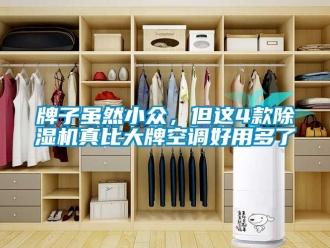行業新聞牌子雖然小眾，但這4款除濕機真比大牌空調好用多了