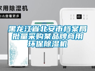 行業新聞黑龍江省北安市檔案局批量采購某品牌商用環保除濕機
