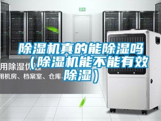 行業新聞除濕機真的能除濕嗎（除濕機能不能有效除濕）
