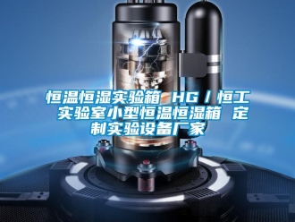 知識百科恒溫恒濕實驗箱 HG／恒工 實驗室小型恒溫恒濕箱 定制實驗設備廠家