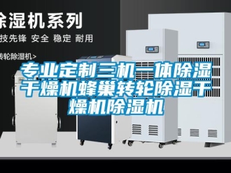 常見問題專業定制三機一體除濕干燥機蜂巢轉輪除濕干燥機除濕機