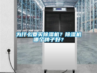 行業新聞為什么要買除濕機？除濕機哪個牌子好？