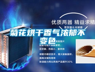 行業新聞菊花烘干香氣濃郁不變色