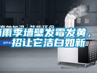 行業新聞梅雨季墻壁發霉發黃，4招讓它潔白如新