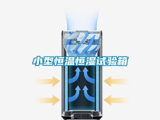 知識(shí)百科小型恒溫恒濕試驗(yàn)箱