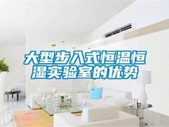 知識(shí)百科大型步入式恒溫恒濕實(shí)驗(yàn)室的優(yōu)勢(shì)