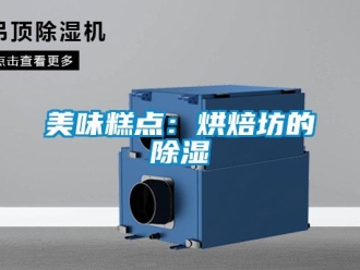 行業(yè)新聞美味糕點(diǎn)：烘焙坊的除濕