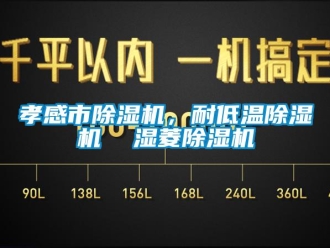 行業(yè)新聞孝感市除濕機(jī)，耐低溫除濕機(jī)  濕菱除濕機(jī)