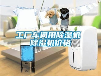 企業新聞工廠車間用除濕機 除濕機價格