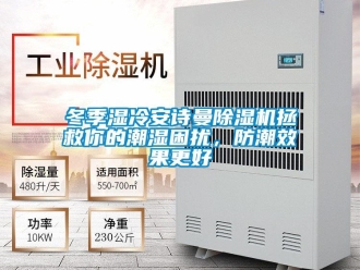 企業新聞冬季濕冷安詩曼除濕機拯救你的潮濕困擾，防潮效果更好