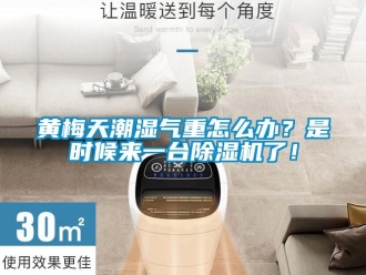 常見問題黃梅天潮濕氣重怎么辦？是時候來一臺除濕機了！