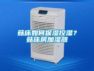 常見問題菇床如何保濕控濕？菇床房加濕器