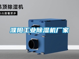 企業(yè)新聞濮陽工業(yè)除濕機(jī)廠家