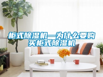 行業(yè)新聞柜式除濕機(jī)—為什么要購買柜式除濕機(jī)