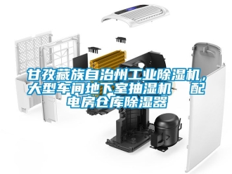 常見問題甘孜藏族自治州工業(yè)除濕機，大型車間地下室抽濕機  配電房倉庫除濕器