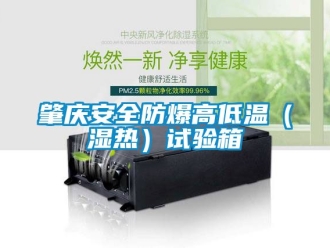 企業(yè)新聞肇慶安全防爆高低溫（濕熱）試驗箱