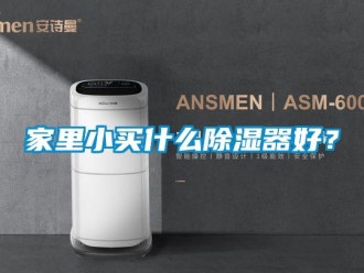 行業(yè)新聞家里小買什么除濕器好？