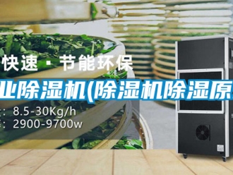 常見問題工業除濕機(除濕機除濕原理)
