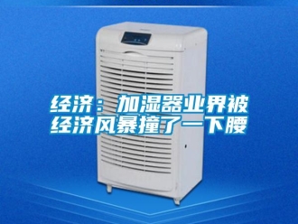 行業(yè)新聞經(jīng)濟：加濕器業(yè)界被經(jīng)濟風暴撞了一下腰