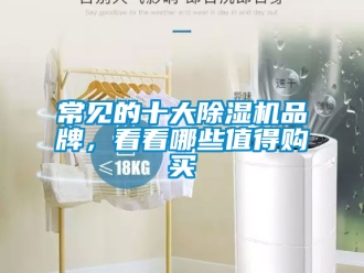 企業(yè)新聞常見的十大除濕機品牌，看看哪些值得購買
