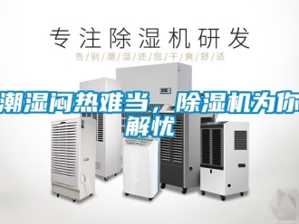 企業(yè)新聞潮濕悶熱難當(dāng)，除濕機為你解憂