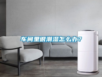 企業新聞車間里很潮濕怎么辦？