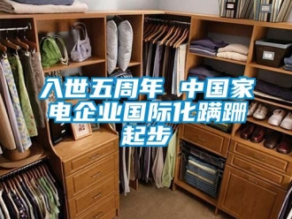 行業新聞入世五周年 中國家電企業國際化蹣跚起步