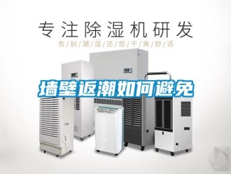 常見問題墻壁返潮如何避免