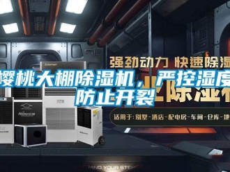 知識(shí)百科櫻桃大棚除濕機(jī)，嚴(yán)控濕度防止開裂