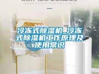 行業新聞冷凍式除濕機_冷凍式除濕機工作原理及使用常識