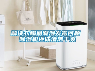 行業(yè)新聞解決衣帽間潮濕發(fā)霉問題 除濕機還你清潔干爽