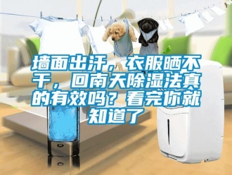 常見問題墻面出汗，衣服曬不干，回南天除濕法真的有效嗎？看完你就知道了