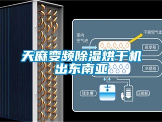 行業新聞天麻變頻除濕烘干機出東南亞