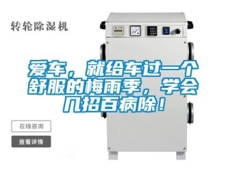 常見問題愛車，就給車過一個舒服的梅雨季，學會幾招百病除！