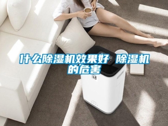 行業(yè)新聞什么除濕機效果好 除濕機的危害
