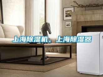 行業新聞上海除濕機，上海除濕器