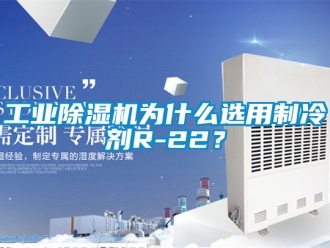 常見問題工業除濕機為什么選用制冷劑R-22？