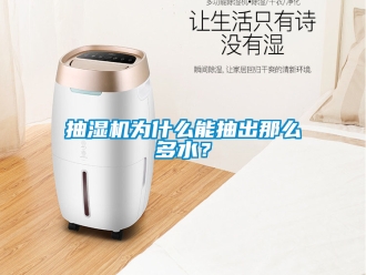 企業新聞抽濕機為什么能抽出那么多水？