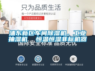 常見問題浦東新區車間除濕機，工業抽濕機  恒溫恒濕非標機器