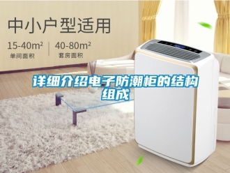 常見問題詳細(xì)介紹電子防潮柜的結(jié)構(gòu)組成