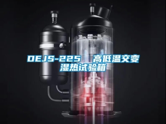 常見問題DEJS-225  高低溫交變濕熱試驗箱