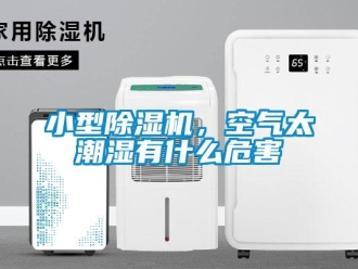 行業新聞小型除濕機，空氣太潮濕有什么危害