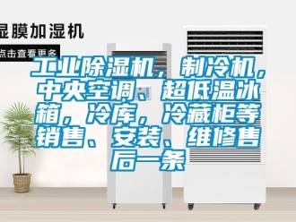 常見問題工業除濕機，制冷機，中央空調、超低溫冰箱，冷庫，冷藏柜等銷售、安裝、維修售后一條